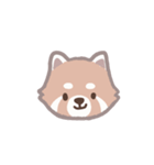 あらいぐまのポンタ（個別スタンプ：11）