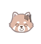 あらいぐまのポンタ（個別スタンプ：12）