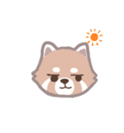あらいぐまのポンタ（個別スタンプ：14）