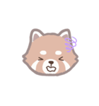 あらいぐまのポンタ（個別スタンプ：15）