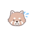 あらいぐまのポンタ（個別スタンプ：18）