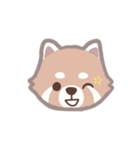 あらいぐまのポンタ（個別スタンプ：19）