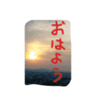 今年の夏は（個別スタンプ：1）