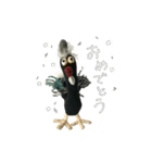 Socks monkey family（個別スタンプ：6）