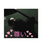 김 더비코 ドビ子（個別スタンプ：16）