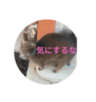 旅する占い師エリー（個別スタンプ：35）