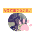 旅する占い師エリー（個別スタンプ：37）