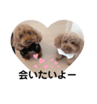 pola  1（個別スタンプ：3）