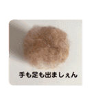 pola  1（個別スタンプ：8）