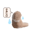 たぬもた⑩（個別スタンプ：8）