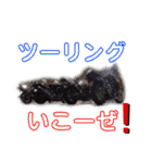 おかしな愉快な仲間たち（個別スタンプ：23）