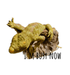 my little reptiles（個別スタンプ：2）