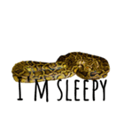 my little reptiles（個別スタンプ：3）