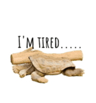 my little reptiles（個別スタンプ：4）