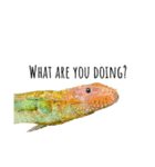 my little reptiles（個別スタンプ：10）