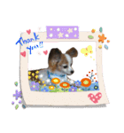 マイレジェンドペットのチビのスタンプ（個別スタンプ：17）