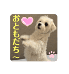 めりるでちの日常❤️（個別スタンプ：19）