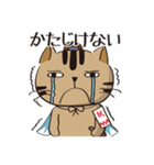 新選組猫 2（個別スタンプ：13）