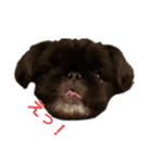 勘々Kanta^^Kun（個別スタンプ：7）