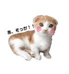 愛猫まんちかん。（個別スタンプ：5）