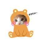 愛猫まんちかん。（個別スタンプ：15）