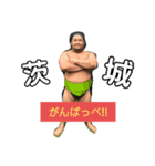 あくあ相撲編（個別スタンプ：2）