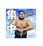あくあ相撲編（個別スタンプ：7）