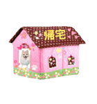 可愛いポメラニアンもぐちゃんスタンプ（個別スタンプ：26）