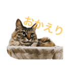 あきあきあきたん（個別スタンプ：7）