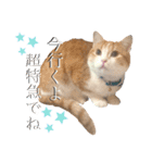 食いしん坊William（個別スタンプ：2）