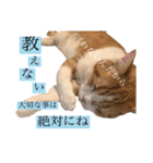 食いしん坊William（個別スタンプ：3）