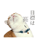 食いしん坊William（個別スタンプ：8）