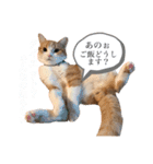 食いしん坊William（個別スタンプ：9）