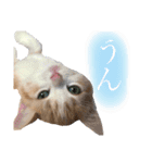 食いしん坊William（個別スタンプ：10）