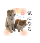 食いしん坊William（個別スタンプ：13）