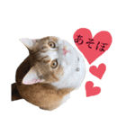 食いしん坊William（個別スタンプ：16）