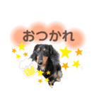 ねおここゆゆ（個別スタンプ：7）
