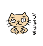 ねこの にゃんきち の日々2（個別スタンプ：11）