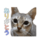 のほほん太っちょボーイズ2（個別スタンプ：1）