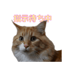 のほほん太っちょボーイズ2（個別スタンプ：2）