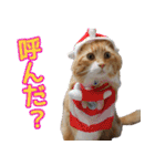 のほほん太っちょボーイズ2（個別スタンプ：3）