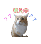 のほほん太っちょボーイズ2（個別スタンプ：4）
