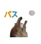 のほほん太っちょボーイズ2（個別スタンプ：7）