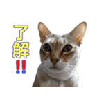 のほほん太っちょボーイズ2（個別スタンプ：9）