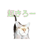 のほほん太っちょボーイズ2（個別スタンプ：10）