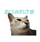 のほほん太っちょボーイズ2（個別スタンプ：12）