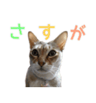 のほほん太っちょボーイズ2（個別スタンプ：14）