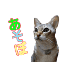 のほほん太っちょボーイズ2（個別スタンプ：15）