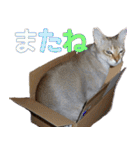 のほほん太っちょボーイズ2（個別スタンプ：19）