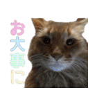 のほほん太っちょボーイズ2（個別スタンプ：21）